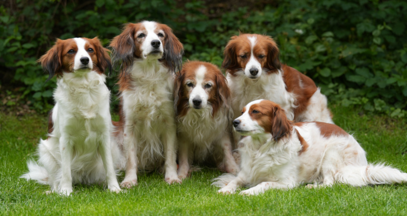 Gruppenfoto