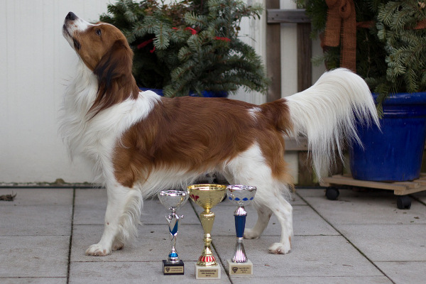 Jamie ist Österreichischer Jugend-Champion